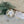 Jojoba Desert Lotion Bar Set (4)