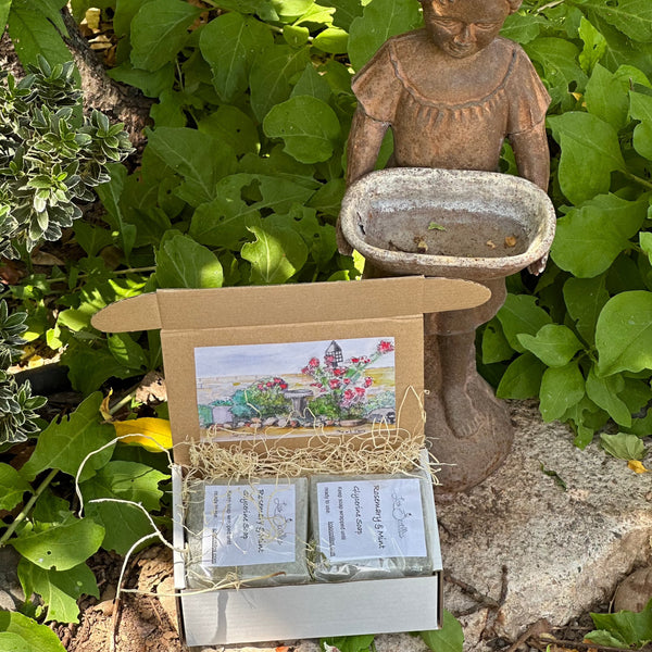 Los Ocotillos Rosemary & Mint Soap Box